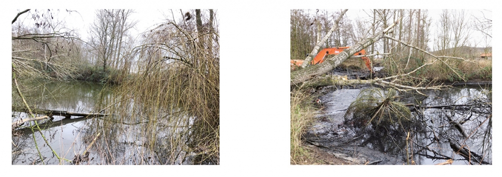 Die Situation am Wendesser Teich vor Beginn der Arbeiten Anfang des Jahres: vollständig zugewachsen, verschlammt und umgestürzte Bäume.