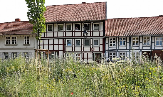 Stadtbild Hornburgs mit einer Blühwiese