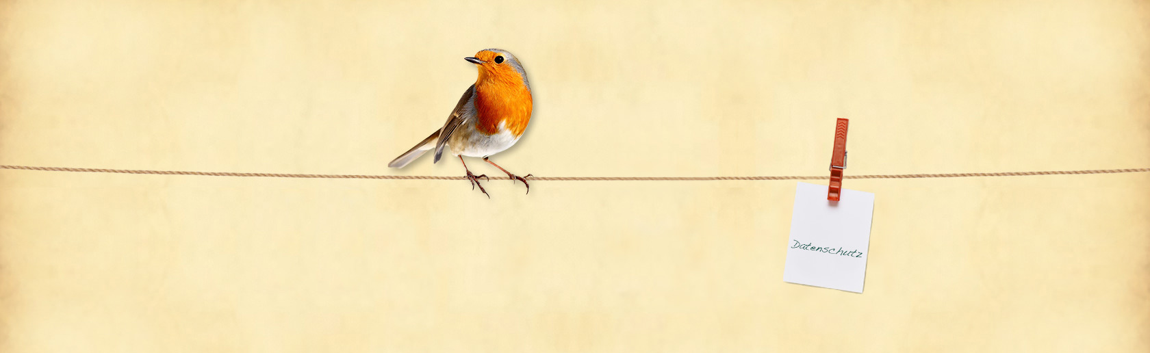 Curt Mast Jägermeister Stiftung Datenschutz