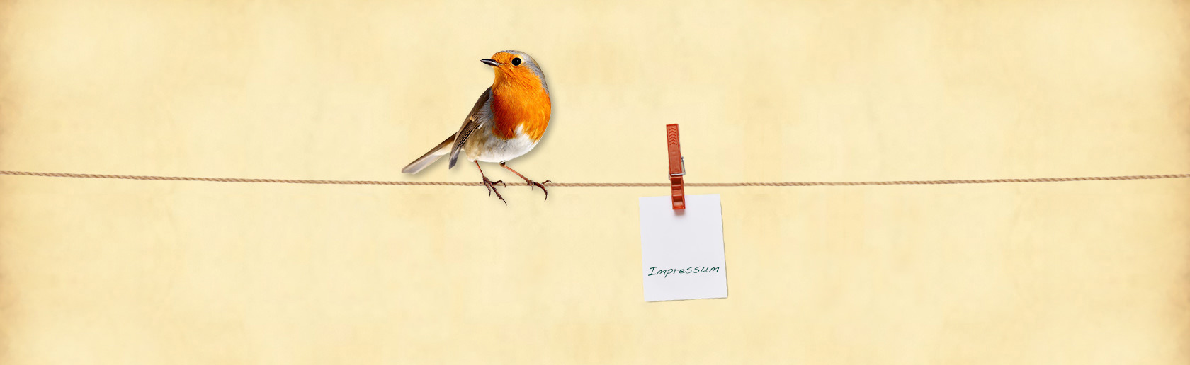 Curt Mast Jägermeister Stiftung Impressum