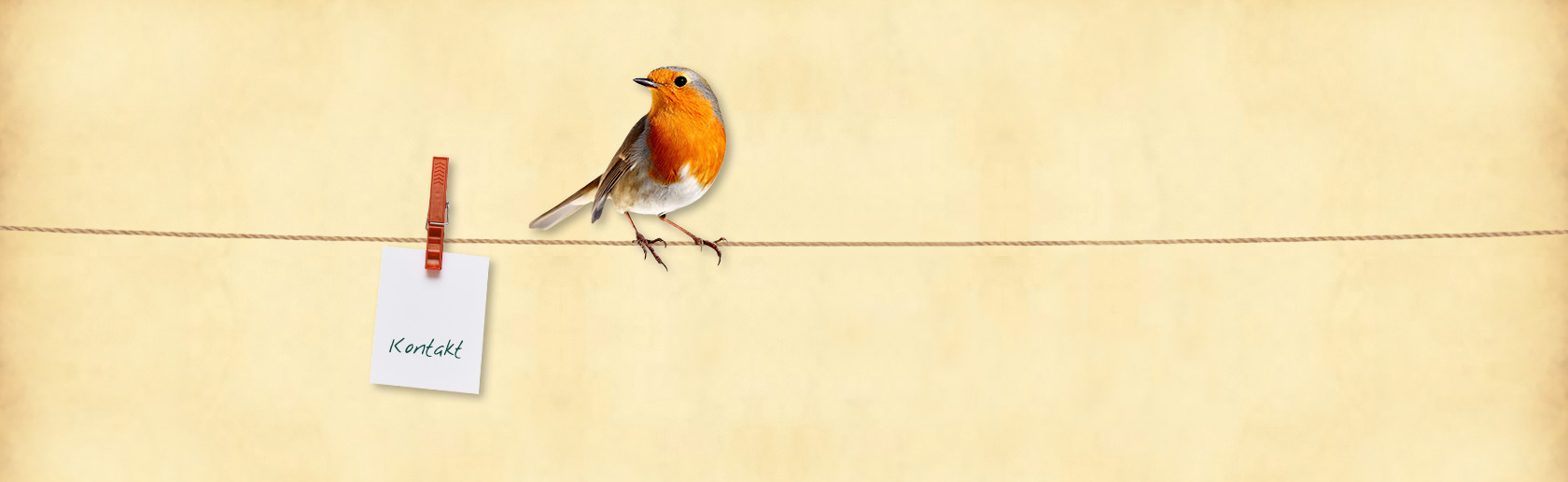 Curt Mast Jägermeister Stiftung Kontakt